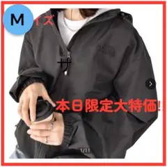 韓国限定 ノースフェイス ナイロンジャト　OLEMA HOOD JACKET