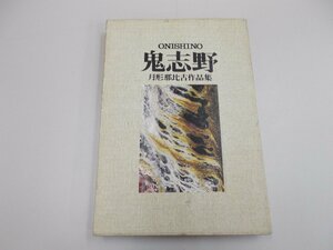 鬼志野　月型那比古作品集