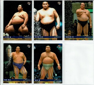 17インフィニティ　大相撲5枚( 大乃国康、貴乃花光司、稀勢の里寛、魁皇博之、高安晃)