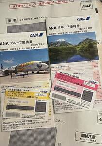 ANA 全日空　株主優待券