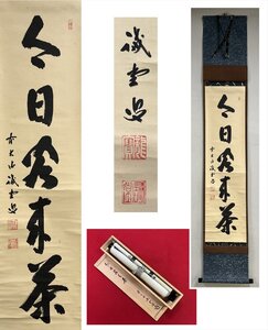 【千寿】大徳寺派 三玄院 藤井誡堂 今日客来茶 自筆 一行書 紙本 d1017◆在銘 箱 茶掛 掛軸 掛物 茶道具 100033061　