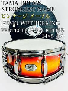 【希少】 TAMA タマ STRONGEST NAME MAPLE メープル REMO WETHERKING PROTECTION RACKET ケース付き　14×5 1/2インチ スネアドラム スネア