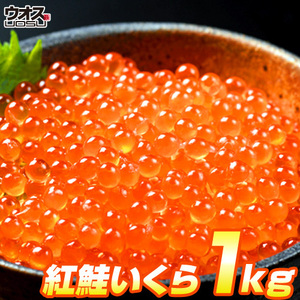 最安値挑戦！ いくら 醤油漬け 500g×2パック 計1kg 粒は小さいけど味は抜群！ 紅鮭 イクラ 贈答 いくら丼 中元 お中元 お盆