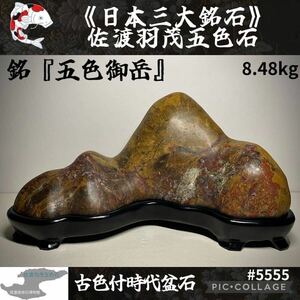 【信濃美術石博物館】水石 佐渡羽茂五色石 横35×高19.5(cm)8.48kg 佐渡赤玉石 佐渡錦紅石 赤玉赤石盆栽骨董盆石鑑賞石観賞石菊花石 5555