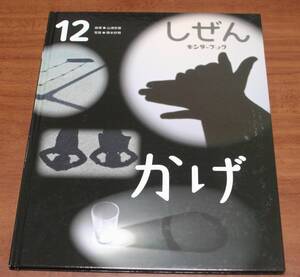 ★43★しぜん　キンダーブック　2022年12月号　かげ　フレーベル館★