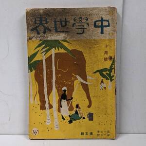 V◇/【難あり】中学世界 第17巻 第13号 10月号 博文館 大正3年 9月発行 /戦乱/ロート 目薬/飛行機の通俗的説明/軍艦の話/戦争/児童雑誌