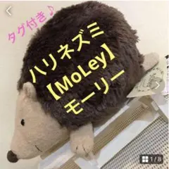 ★希少★タグ付き♪【ハリネズミ】Moley ぬいぐるみ/サンアロー★