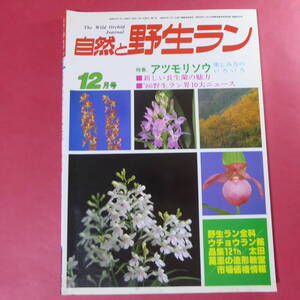 YN4-241219☆自然と野生ラン 1986年12月号　ウチョウラン　アツモリソウ　エビネ　長生蘭　寒蘭　※ 園芸JAPAN