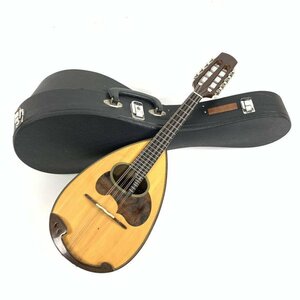 SUZUKI VIOLIN 鈴木バイオリン M30 マンドリン　ハードケース付き★簡易検査品