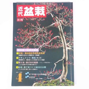 月刊 近代盆栽 No.102 1986/4 近代出版 雑誌 盆栽総合誌 園芸 ガーデニング 植物 特集・60回国風盆栽展 ドキュメント・黒松 ほか