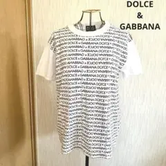 ドルチェアンドガッバーナ ロゴプリントTシャツ ドルガバ D&G