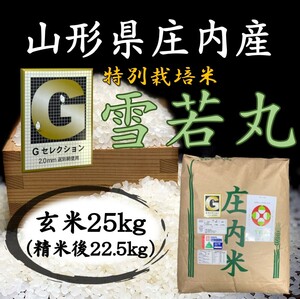 □Gセレクション♪雪若丸♪新米♪令和６年産！山形庄内産玄米２５kg（白米２２．５kg）送料無料