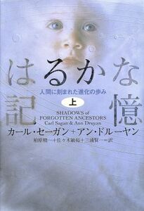 はるかな記憶(上) 人間に刻まれた進化の歩み/カールセーガン,アンドルーヤン【著】,柏原精一,佐々木敏裕,三浦賢一【訳】