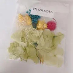 2点セット‼️mimosa ドライフラワー・押し花セット