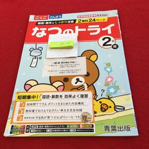 Z5-063 なつのトライ こくご さんすう 2年生 ドリル 計算 テスト プリント 予習 復習 国語 算数 理科 家庭学習 非売品 青葉出版 リラックマ