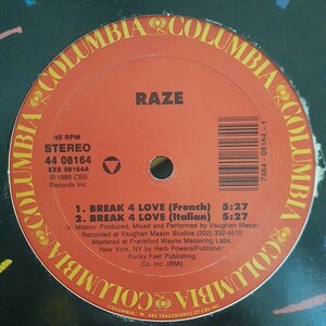 RAZE / BREAK 4 LOVE /VAUGHAN MASON/DEEP HOUSE,LARRY LEVAN,DANNY KRIVIT,TIMMY REGISFORD,TONY HUMPHRIES,PET SHOP BOYS