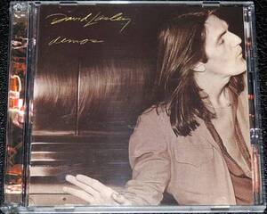 デヴィッド・ラズリー David Lasley / Demos 幻AOR名盤2CD極稀少国内