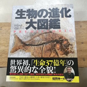 生物の進化　大図鑑 [大型本] マイケル・J・ベントン 他; 小畠 郁生