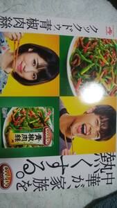 竹内涼真×浜辺美波　クックドゥCookDo青椒肉絲　　非売品POP