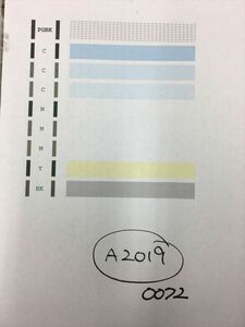 【A2019】プリンターヘッド ジャンク 印字確認済み QY6-0072 CANON キャノン PIXUS iP4600/iP4700/MP630/MP640