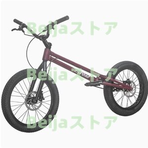 24インチ スタント用自転車 BMX 自転車 大人用 フロントおよびリアブレーキ付き Crmoフレームとフォーク パープル