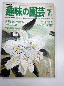 レトロ　趣味の園芸　昭和54年7月　ユリのある庭　野辺の草花　夏のベランダ園芸【K110363】