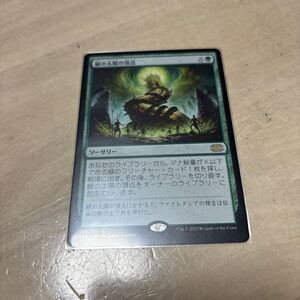 MTG 緑の太陽の頂点