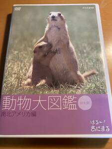 はろ~!あにまる 動物大図鑑 5 南北アメリカ編 [DVD]　I00024　ダーウィンの動物大図鑑