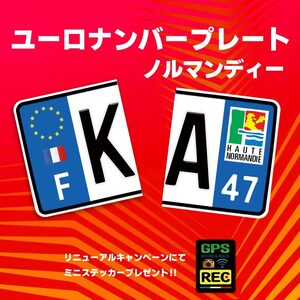 【前後２セット】　ユーロナンバープレート　　オーダーメイド　選べる文字・選べる素材　　ヨーロッパ車に　高品質　送料無料