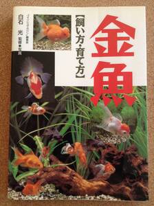 『金魚 飼い方・育て方 白石光監修』西東社