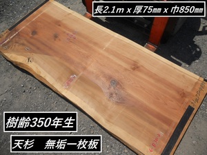 樹齢350年 天杉 長214cmX巾85～97cmX厚7.7cm 無垢一枚板 年輪目細 座卓 天板素材 テーブル材料 店舗 最高級 天然杉 耳付き 厚板 木材 希少