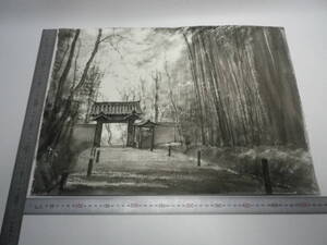 「京都・竹林寺」水墨画【坂垣内 将泰】作者直筆原画「真作」P10号ハーネミューレ紙(経年保管品)【送料無料】00700014