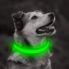 犬 首輪 散歩 ライト 光る首輪 led (グリーン, スモールS)