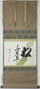 墨蹟掛軸 立花大亀老師 大徳寺511世 『 松置字 千年翠 』 継懐紙料紙 共箱 茶掛 ■ 紫野大亀 大亀和尚 ■ 書 茶道 美術品 ■ 松728