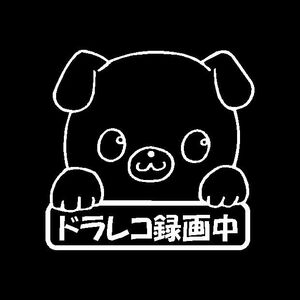 ドラレコ録画中　可愛い手書き風　たれ耳いぬ（犬）柄　カッティングステッカー　ドライブレコーダーに　