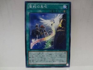 遊戯王SHSP68　聖蛇の息吹　１枚