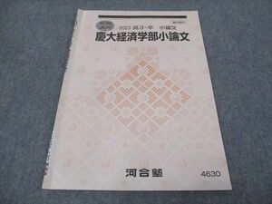 WI28-130 河合塾 慶大経済学部小論文 2023 夏期講習 ☆ 004s0C