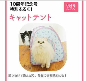 ねこのきもち　付録　キャットテント　テント　猫の気持ち　猫　ねこ　ネコ　グッズ　非売品