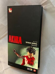 アキラ AKIRA 島鉄雄 1/6スケール PROJECT BM 未開封新品