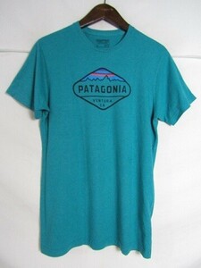 Patagonia　パタゴニア フィッツロイ クレスト コットン/ポリ Tシャツ 38907　Mサイズ　グリーン