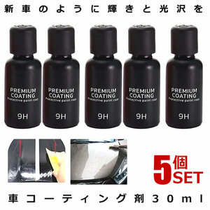 5個セット フィックスマックス2 車コーティング剤 液体セラミックコート 30ml 光沢 輝き ガラス硬化剤 スポンジ付 黄ばみ 自動車 BLACKFIX