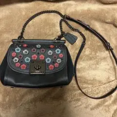 coach ティーローズ　ショルダーバッグ