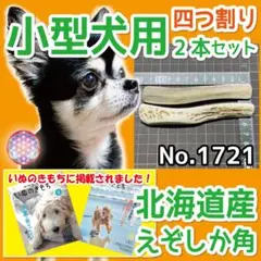 小型犬用 エゾ鹿の角 4半割り２本 北海道産 犬のおもちゃ 17210