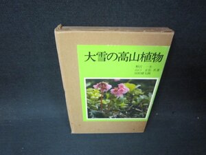 大雪の高山植物　シミ箱破れ有/PCP