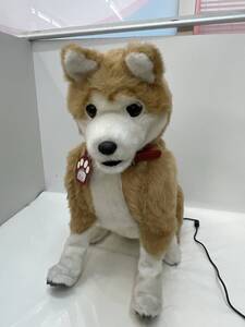 【G-11-R16】　　愛犬しばちゃん ロボットペット