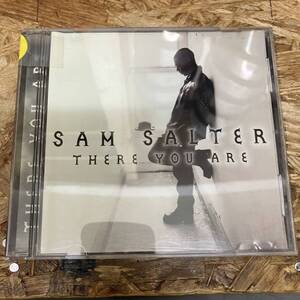 シ● HIPHOP,R&B SAM SALTER - THERE YOU ARE INST,シングル CD 中古品