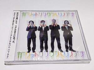 ♪未開封 新品 CD ハリノアナ ガリットソング GOT IT SONG