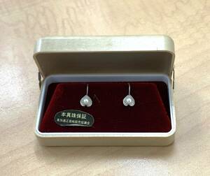 本真珠保証 パールイヤリング SILVER金具 〇自宅保管品