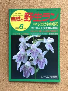 自然と野生ラン 1990年6月号　エビネ ウチョウラン カンアオイ シュンラン ※ 園芸JAPAN