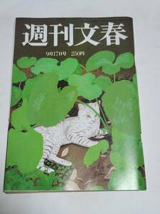 ４７　92　9　17　週刊文春　細川ふみえ　上岡龍太郎　佐藤藍子　谷あい